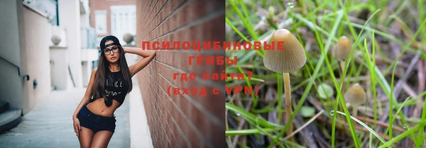 стаф Волоколамск
