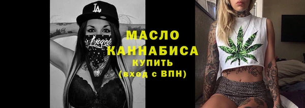 ECSTASY Бородино