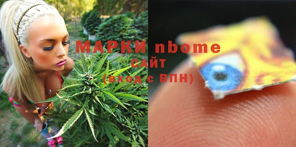ECSTASY Бородино