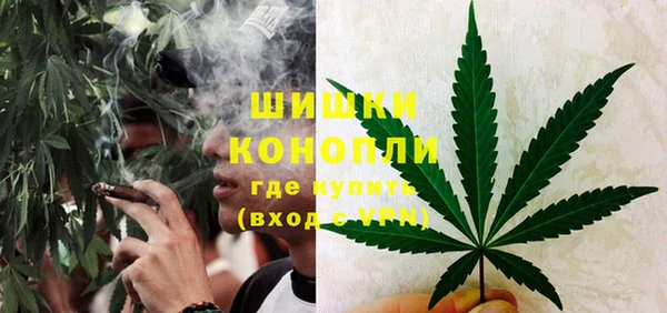 стаф Бронницы