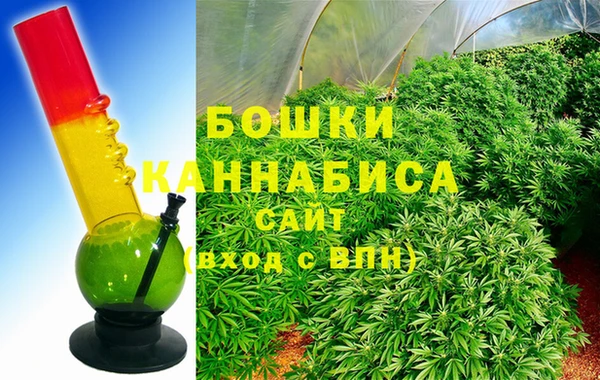 ECSTASY Бородино