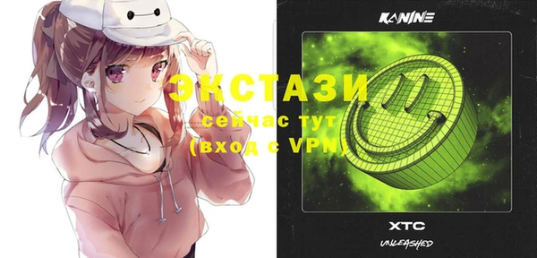 ECSTASY Бородино